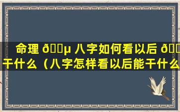 命理 🌵 八字如何看以后 🌾 干什么（八字怎样看以后能干什么工作）